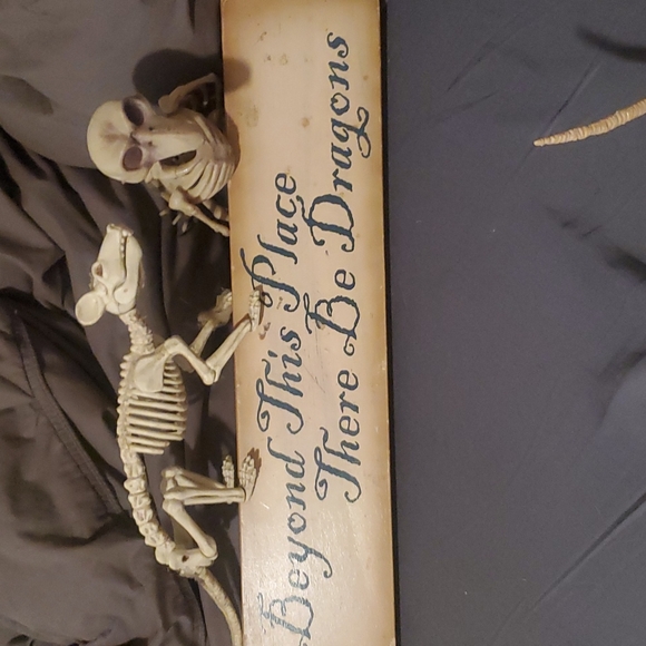 Dragon sign - Picture 2 of 3